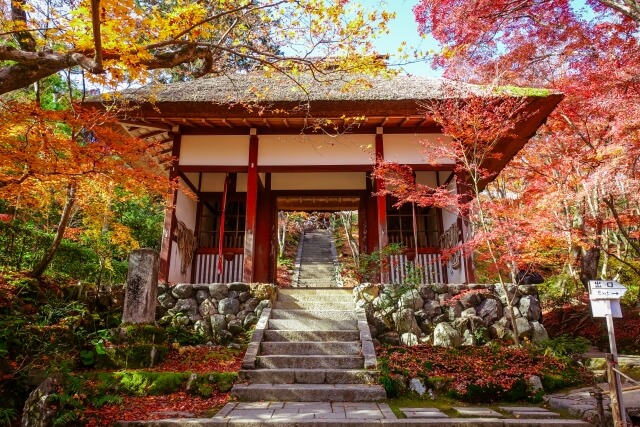 京都嵐山厳選！ホテル付近で楽しめる有名観光スポット