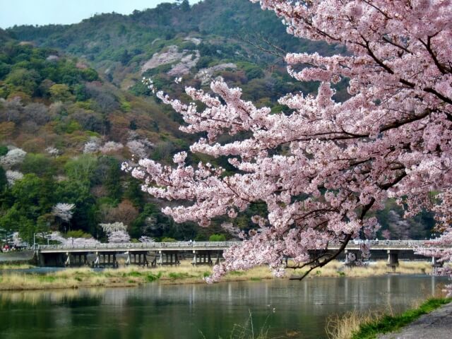 嵐山宿泊で味わう四季の絶景の魅力